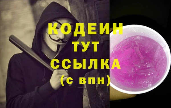 сатива Краснослободск