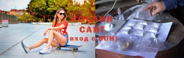 сатива Краснослободск