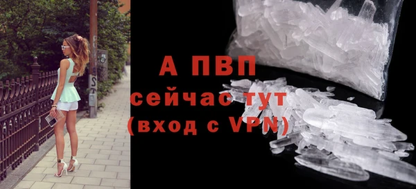 сатива Краснослободск