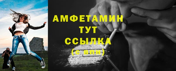 сатива Краснослободск