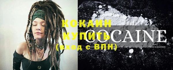 сатива Краснослободск