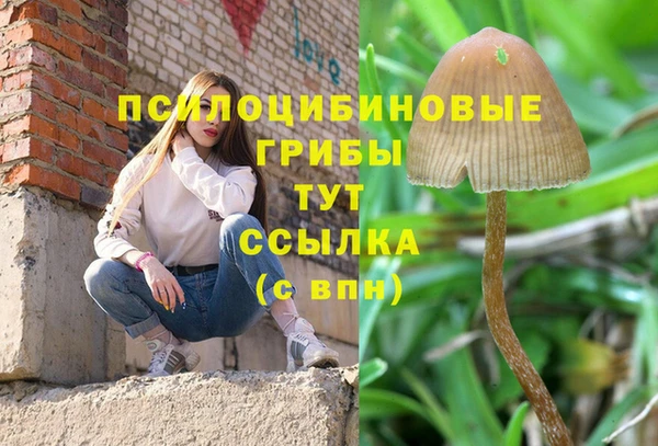 марки nbome Красноперекопск