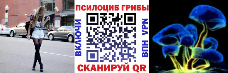 Псилоцибиновые грибы прущие грибы  Купить закладки  Чишмы 